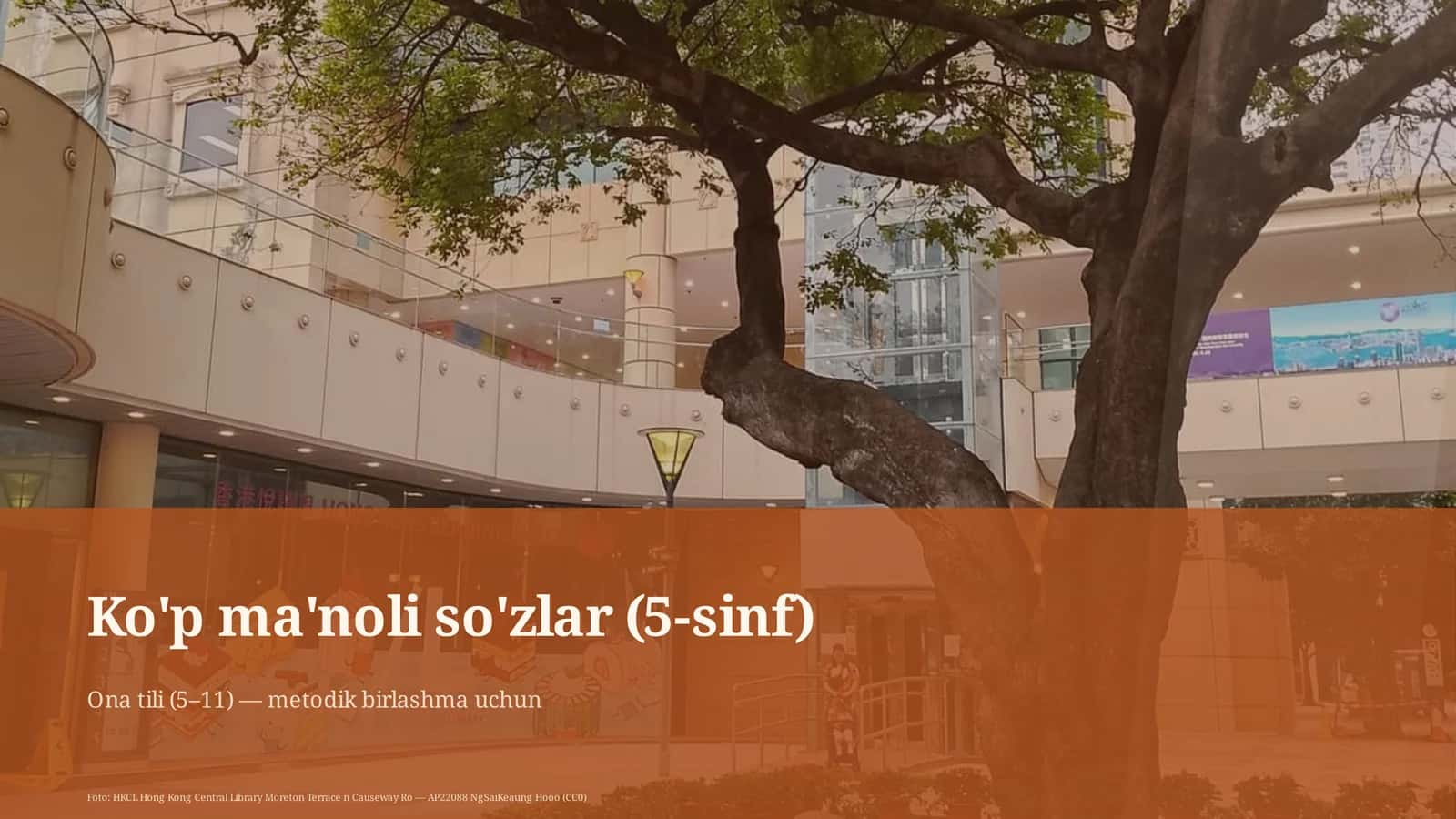 Ko'p ma'noli so'zlar (5-sinf) 1