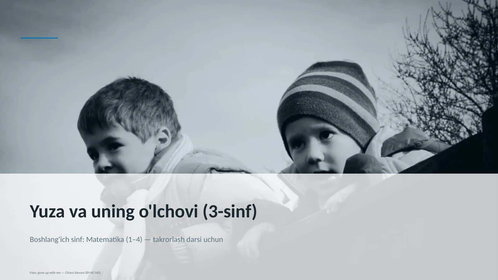 Yuza va uning o'lchovi (3-sinf) 1