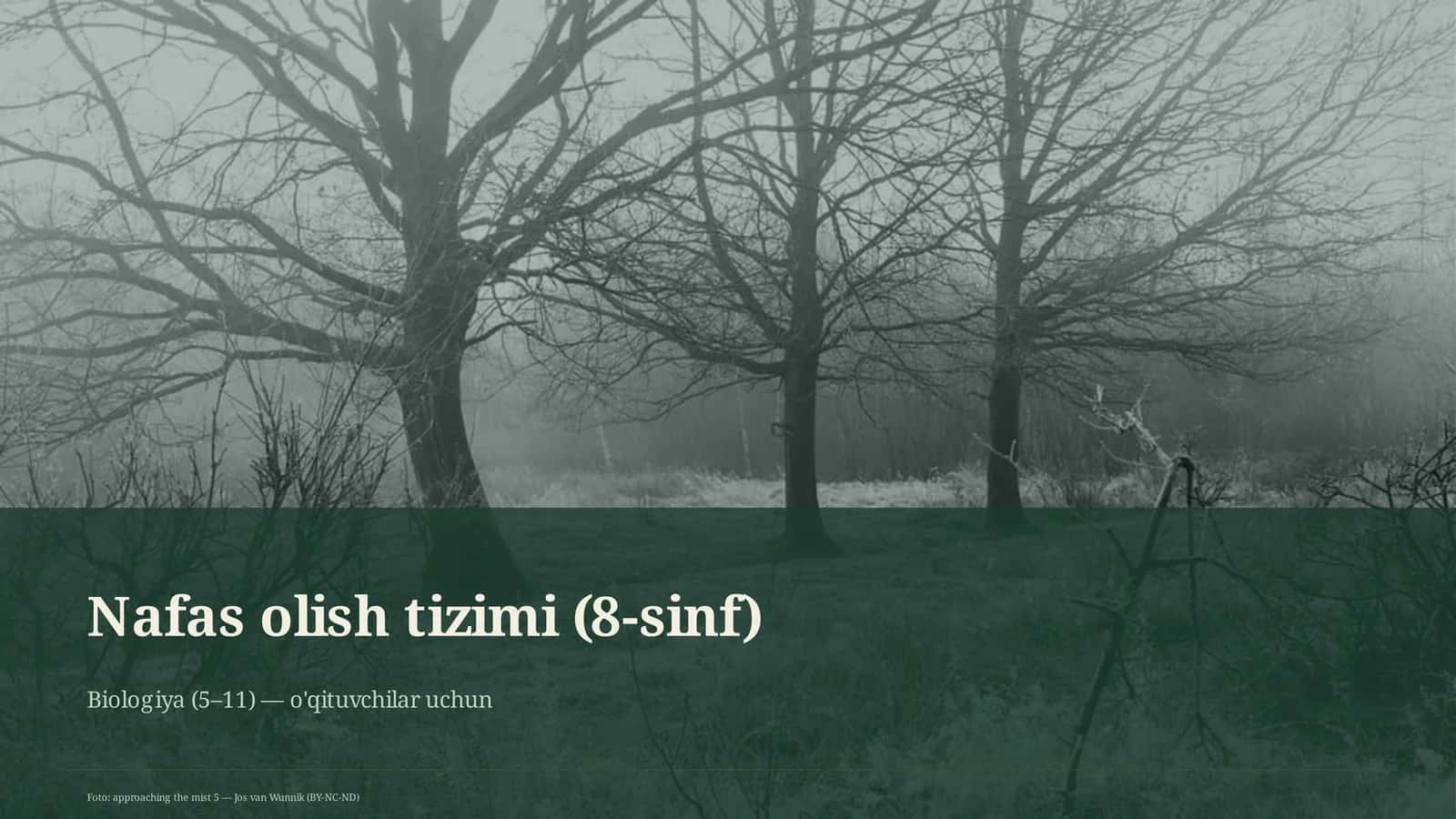 Nafas olish tizimi (8-sinf) 1