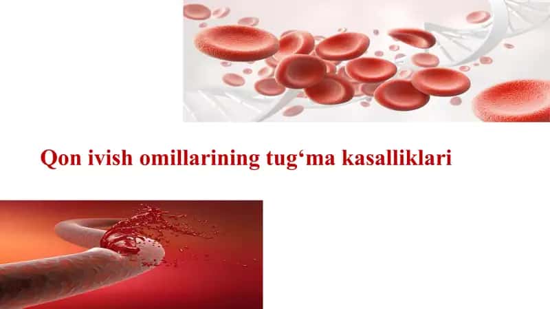 taqdimot 1