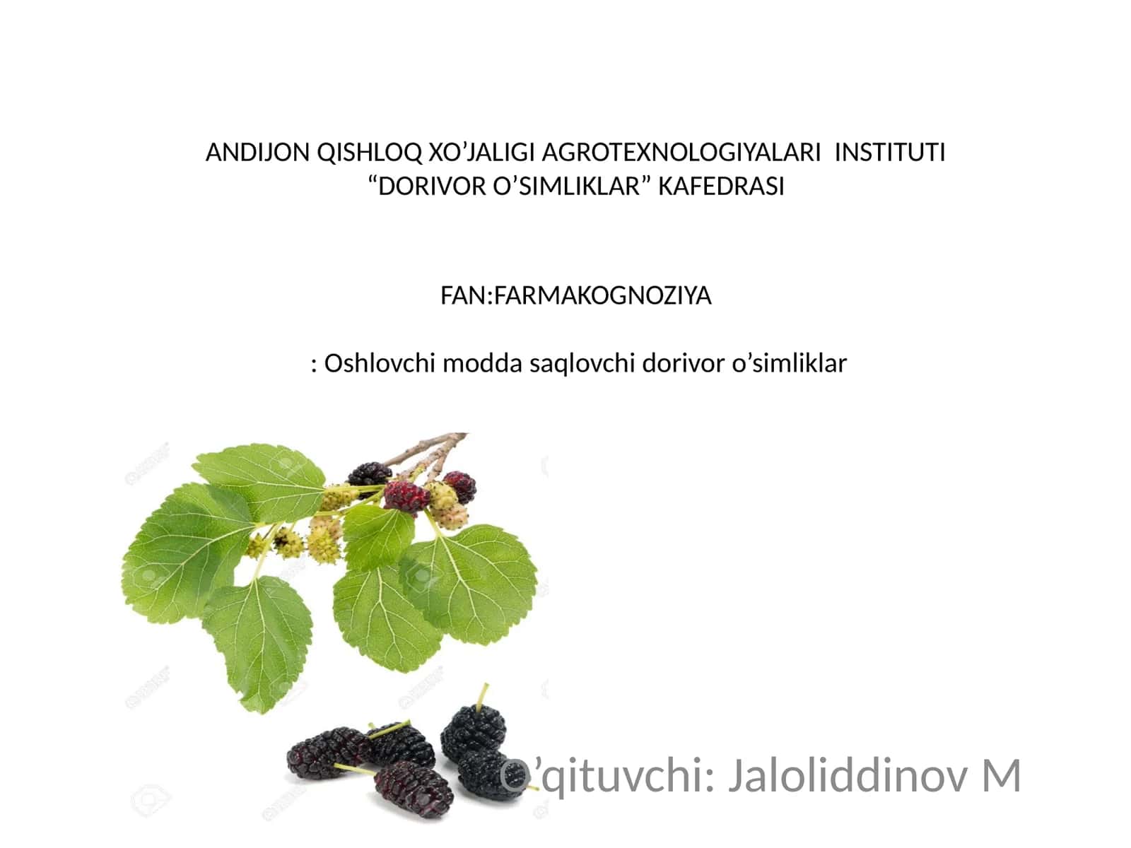 Oshlovchi modda saqlovchi dorivor o’simliklar va mahsulotlar 1