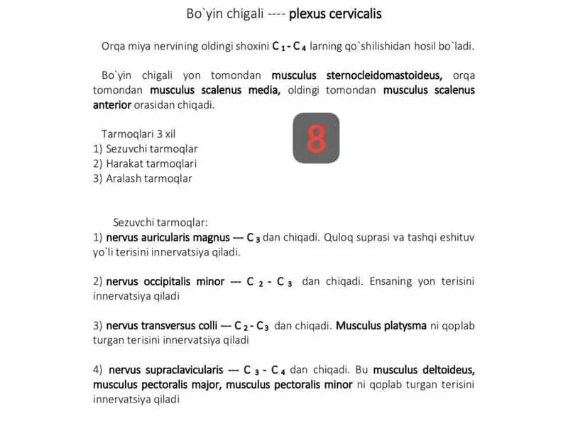 Bo'yin chigali 1