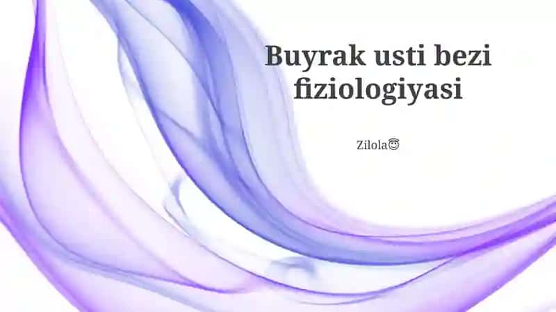 Buyrak usti bezi fiziologiyasi