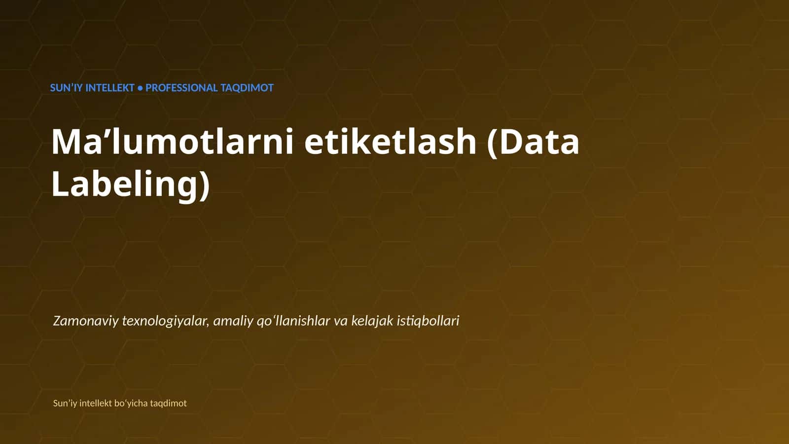 SUNʼIY INTELLEKT • PROFESSIONAL TAQDIMOT 1