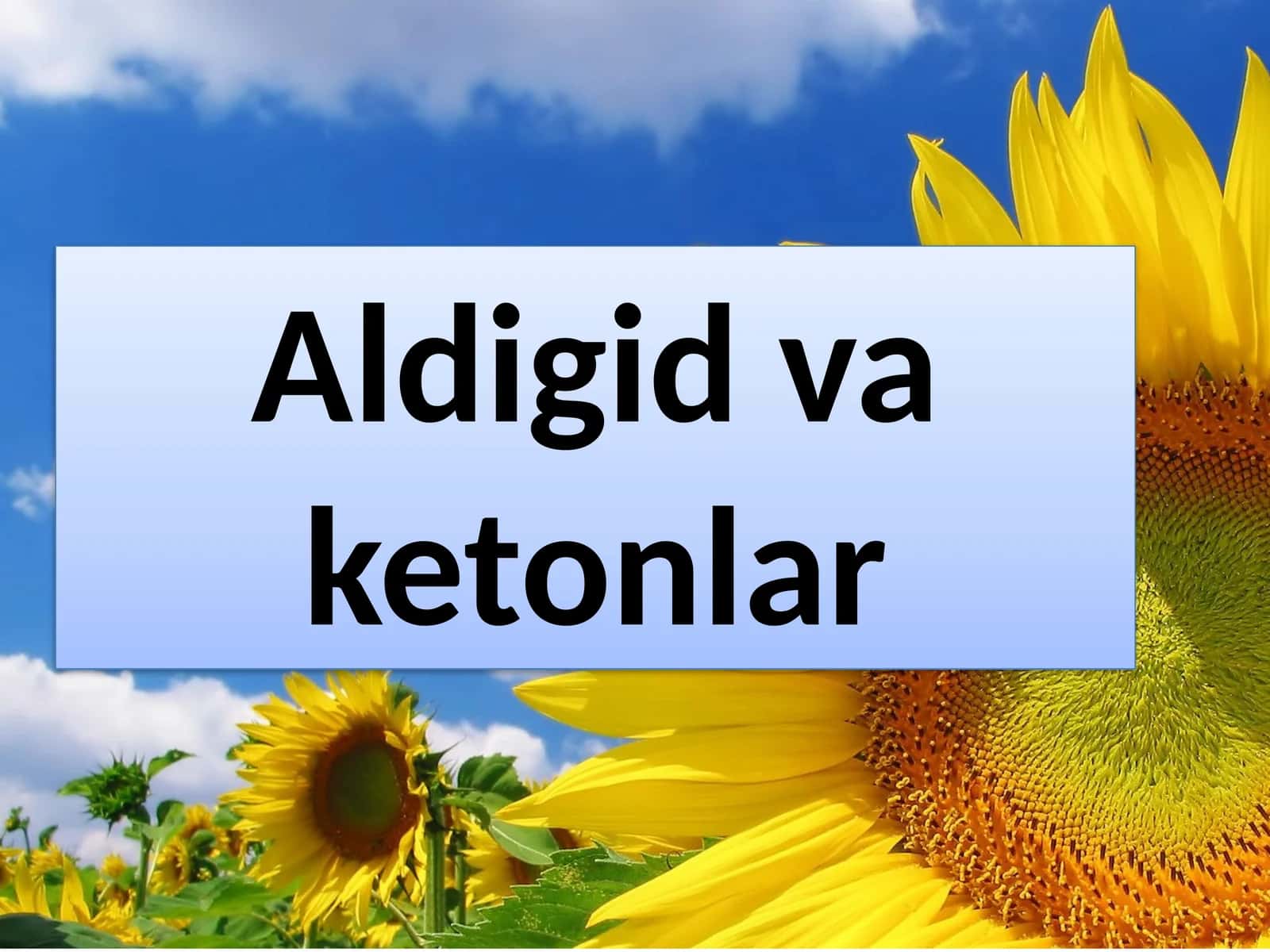 Aldigid va ketonlar 1