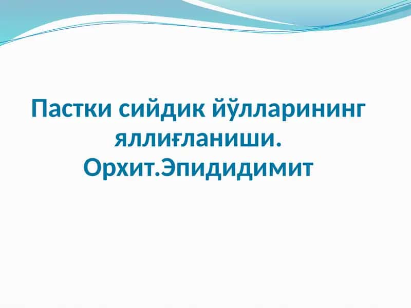 Орхит 1