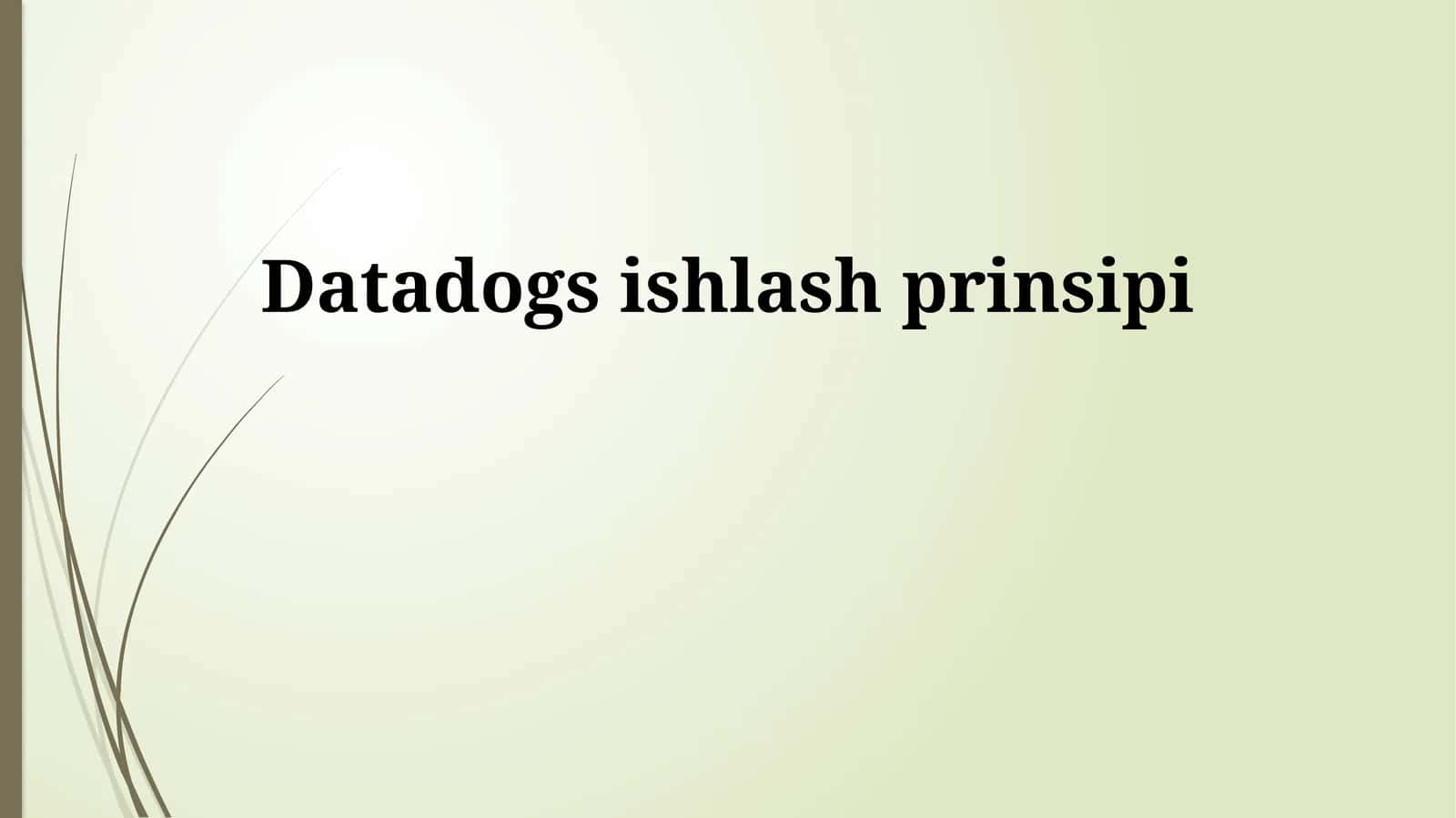 Datadogs ishlash prinsipi 1