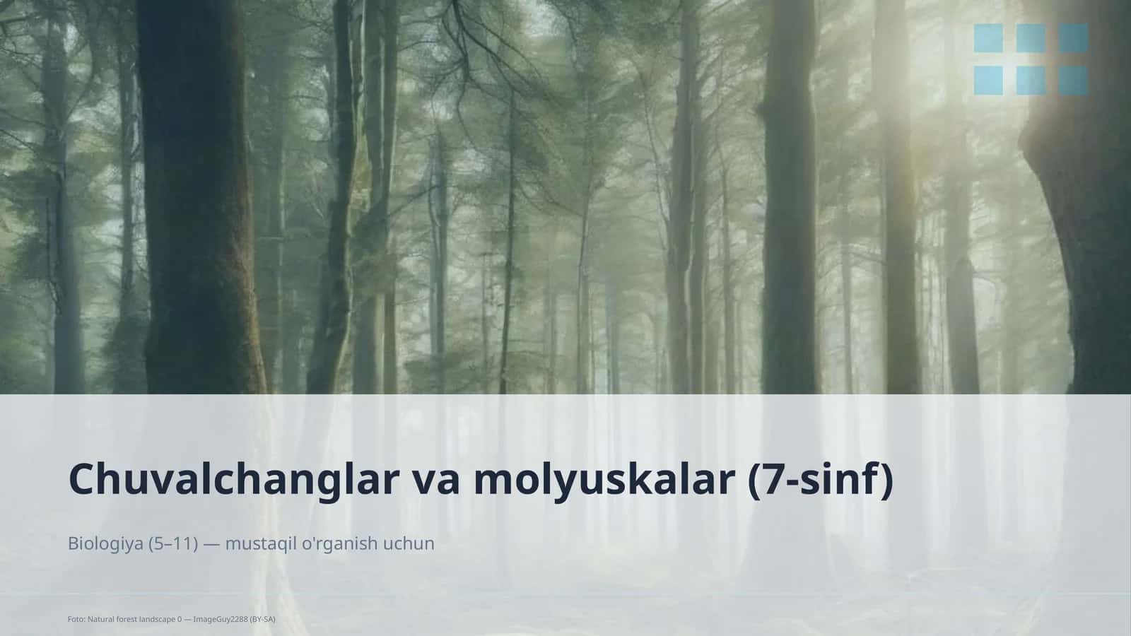 Chuvalchanglar va molyuskalar (7-sinf) 1