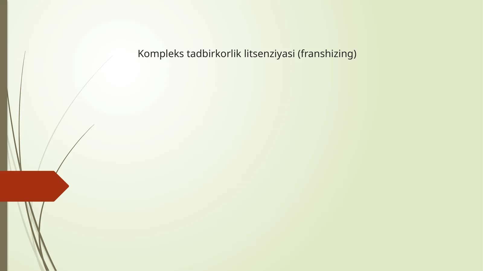 Komplekstadbirkorliklitsenziyasi(franshizing) 1