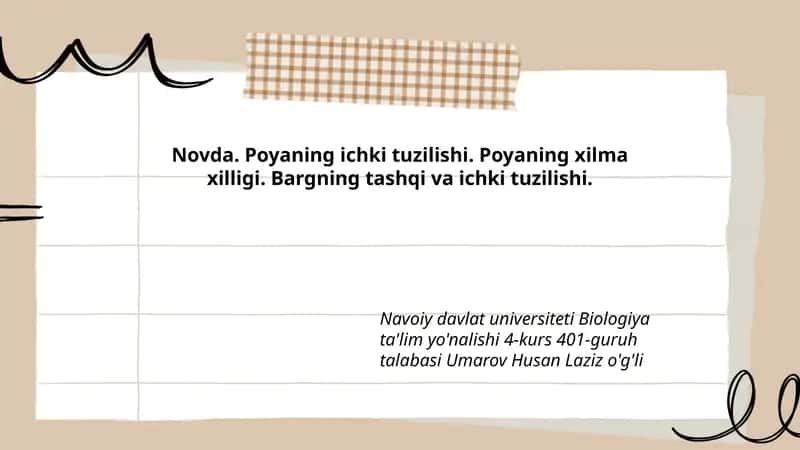 Novda 1