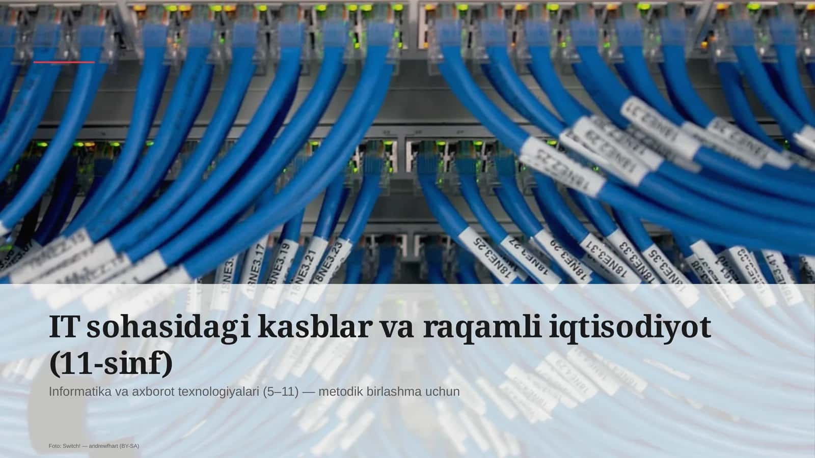 IT sohasidagi kasblar va raqamli iqtisodiyot (11-sinf) 1
