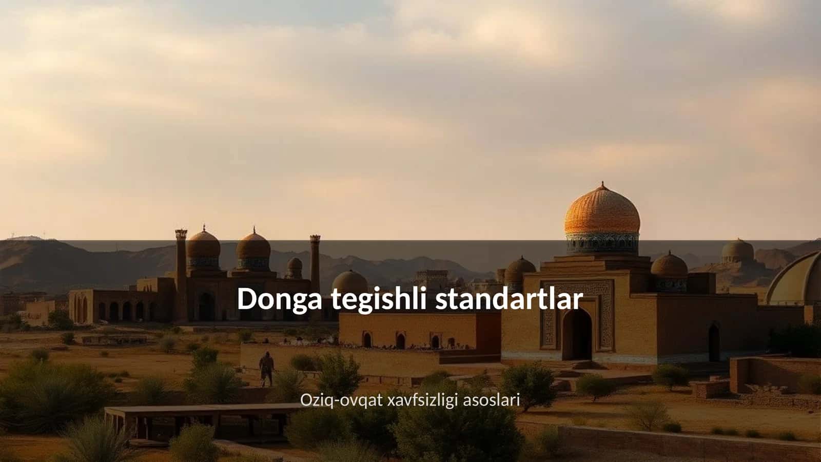 Donga tegishli standartlar 1