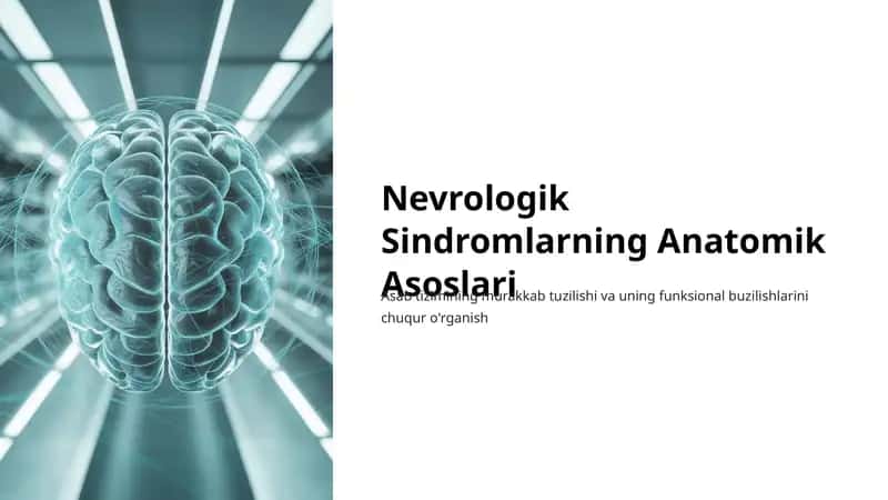 Nevrologik Sindromlarning Anatomik Asoslari 1