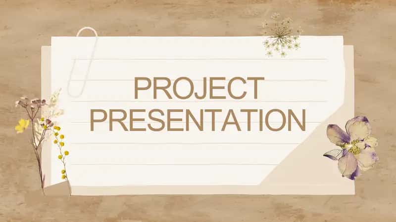PROJECT PRESENTATION 1
