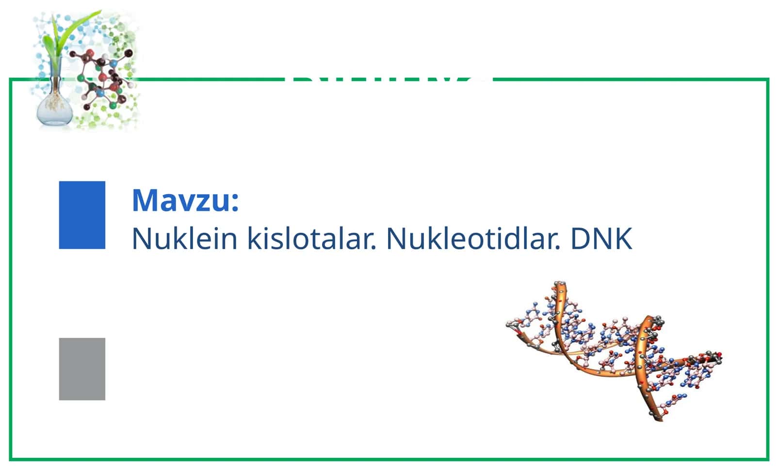 Nukleinkislotalar 1