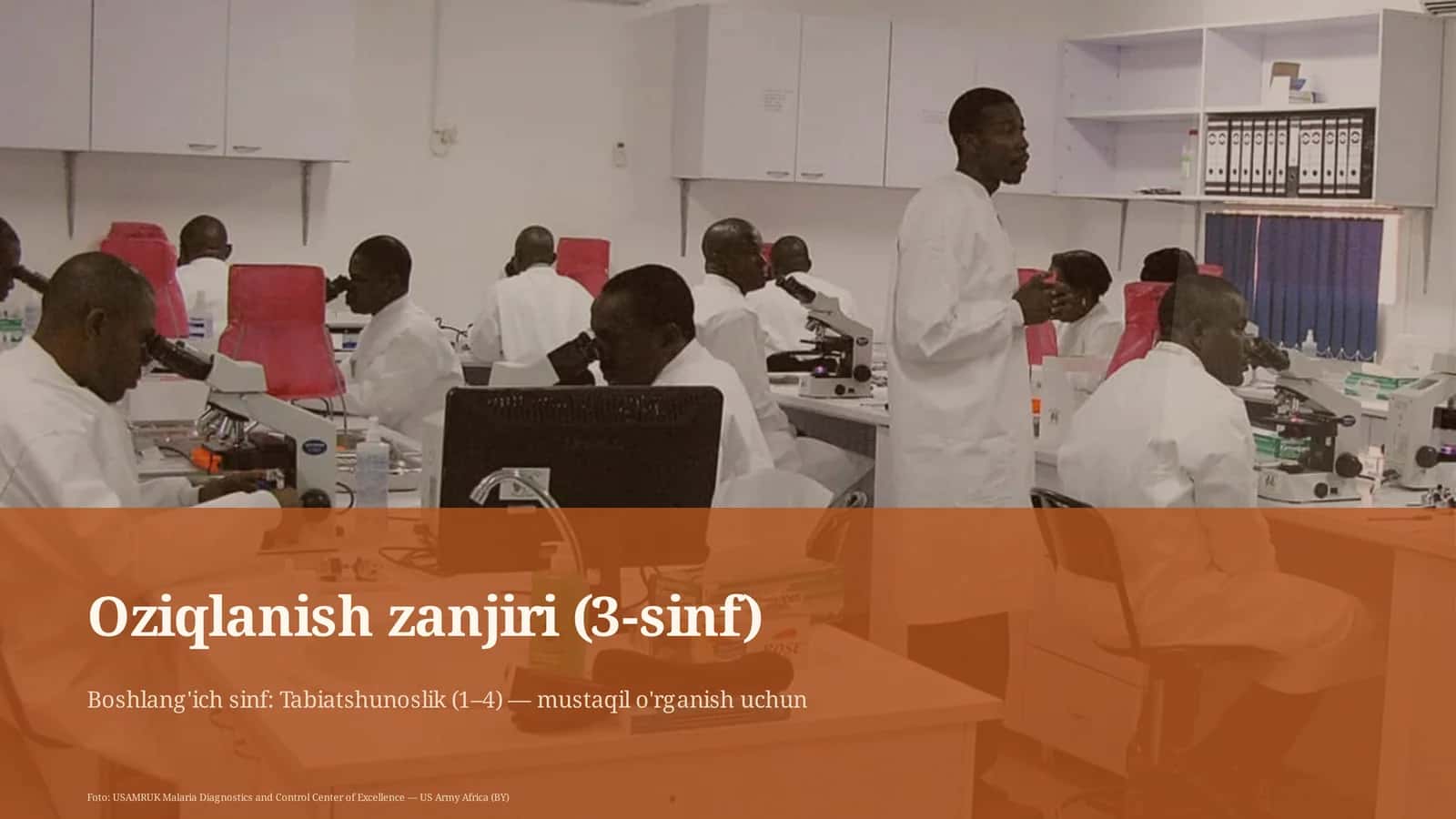 Oziqlanish zanjiri (3-sinf) 1