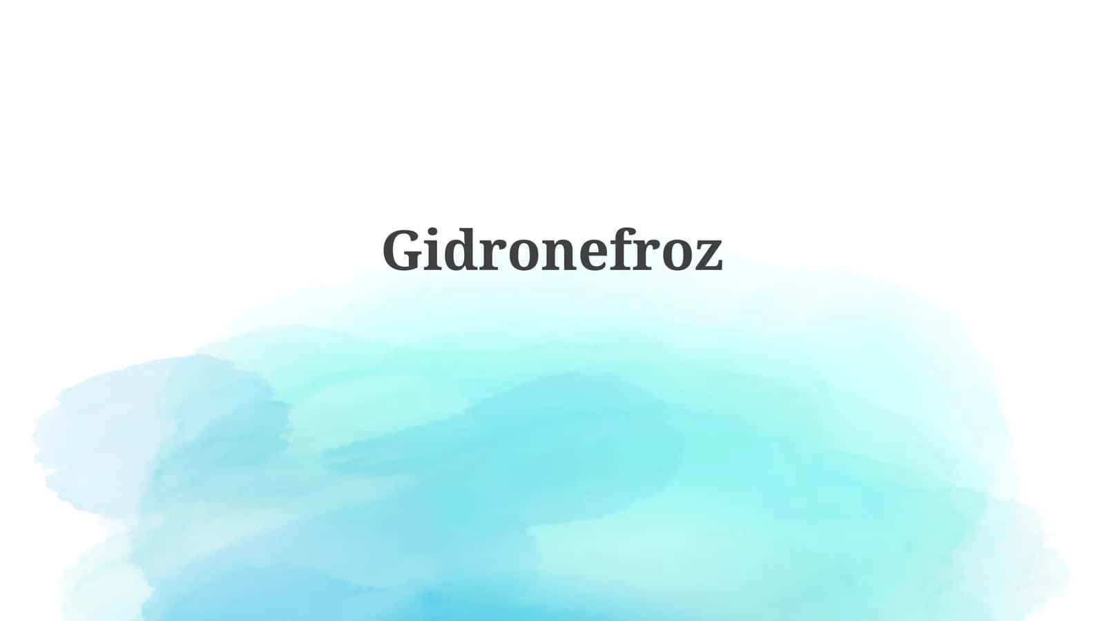 Gidronefroz 1