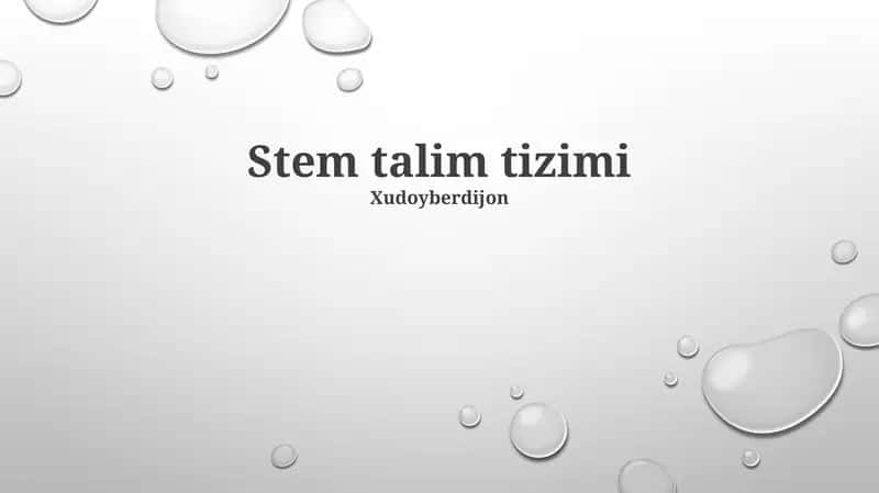 STEM talim tizimi 1