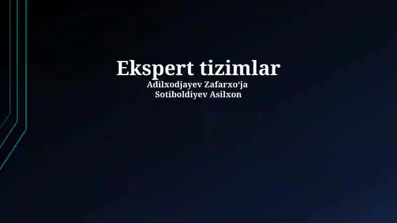 Ekspert tizimlar