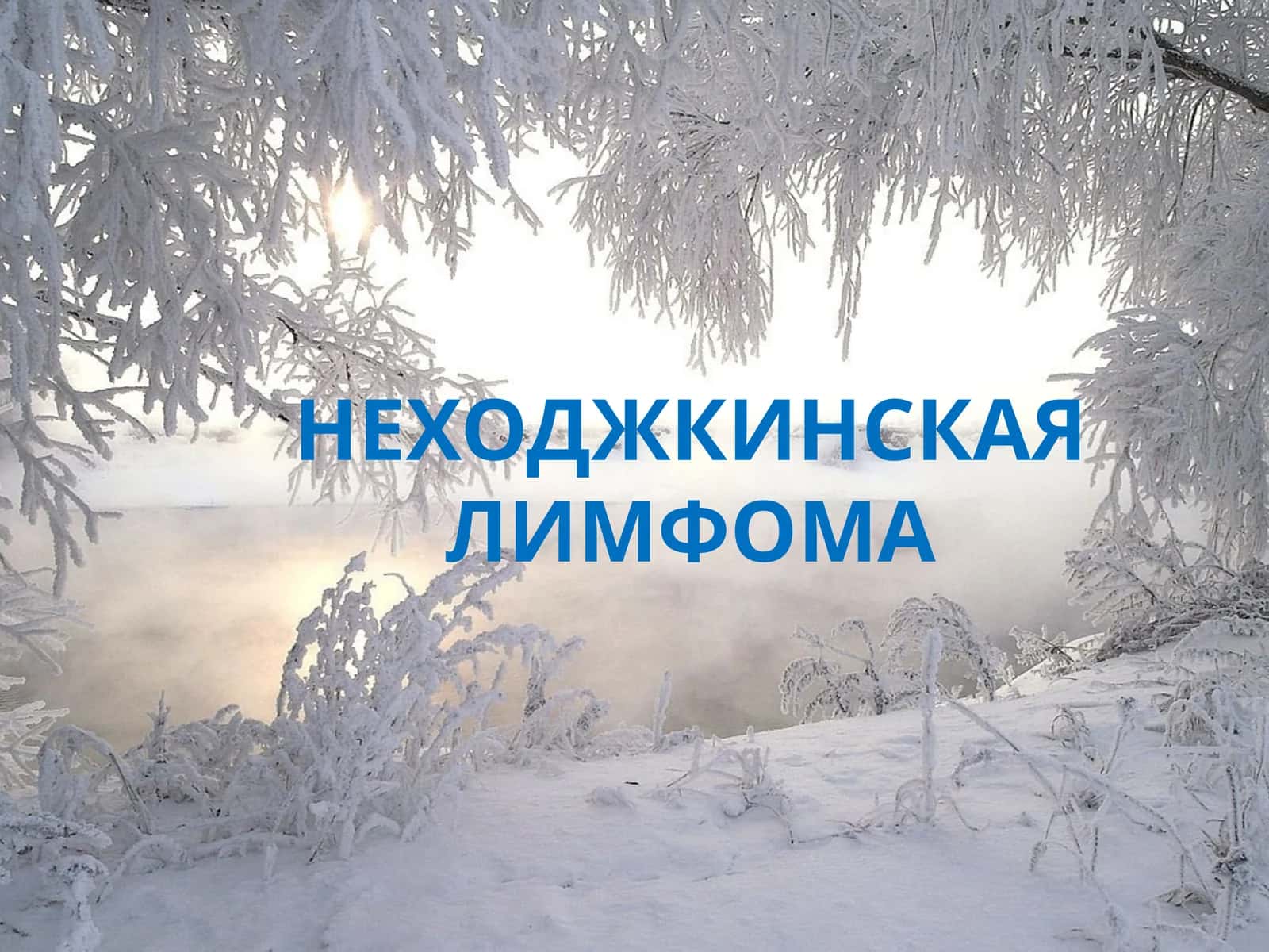 НеХОДЖКИНСКАЯЛИМФОМА 1
