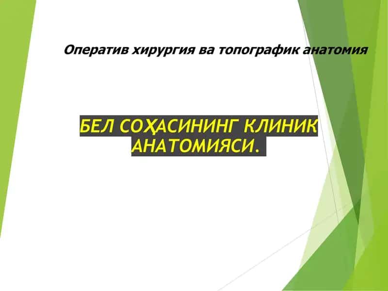 БЕЛ СОҲАСИНИНГ КЛИНИК АНАТОМИЯСИ 1