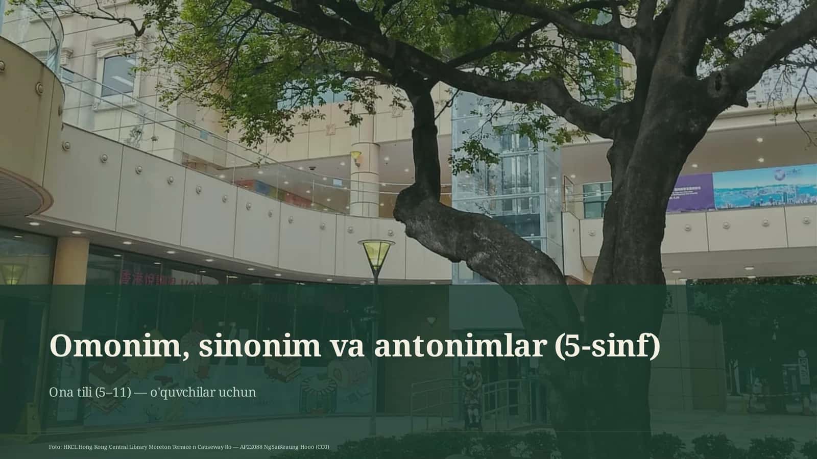 Omonim, sinonim va antonimlar (5-sinf) 1
