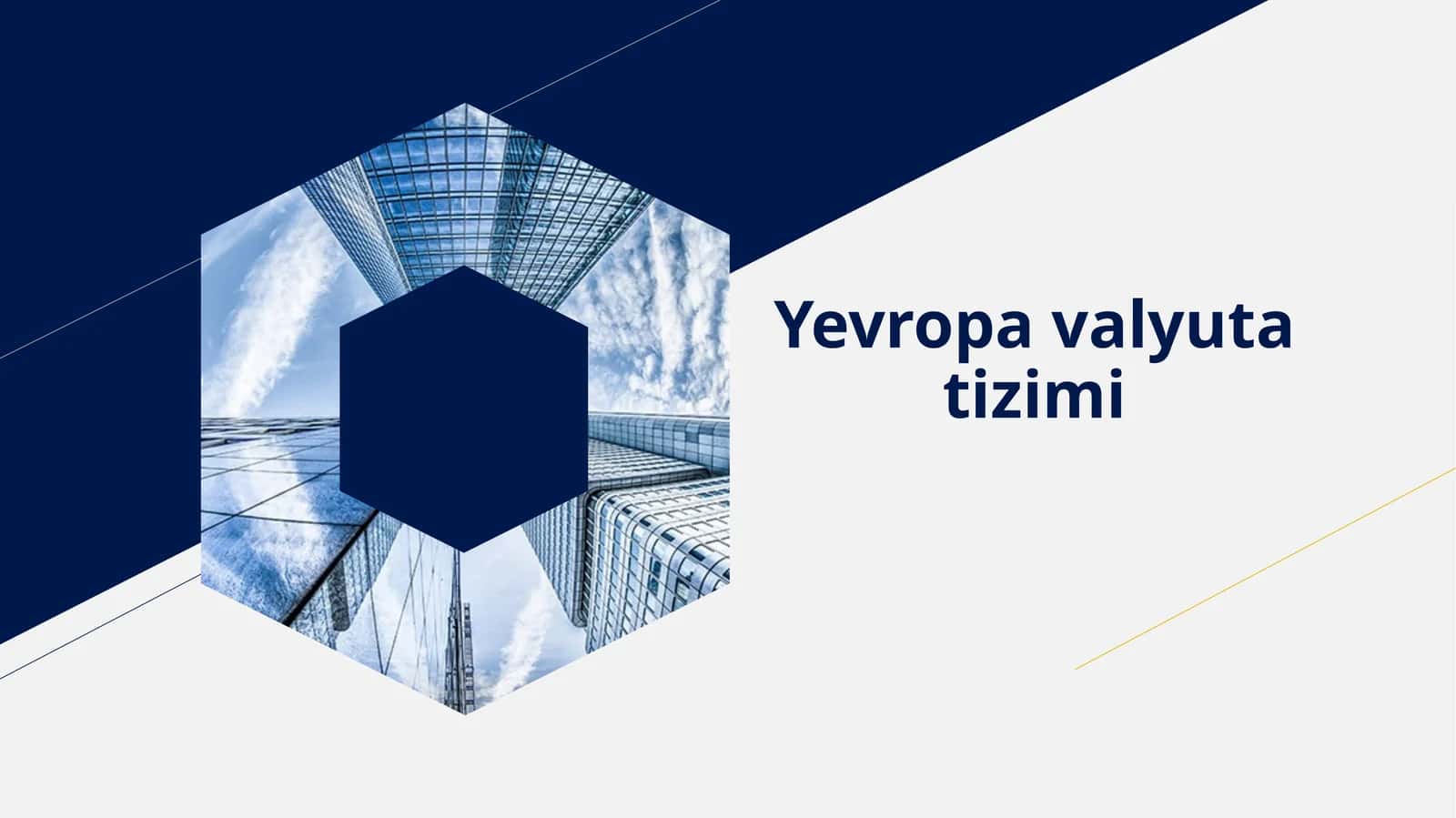Yevropa valyuta tizimi 1
