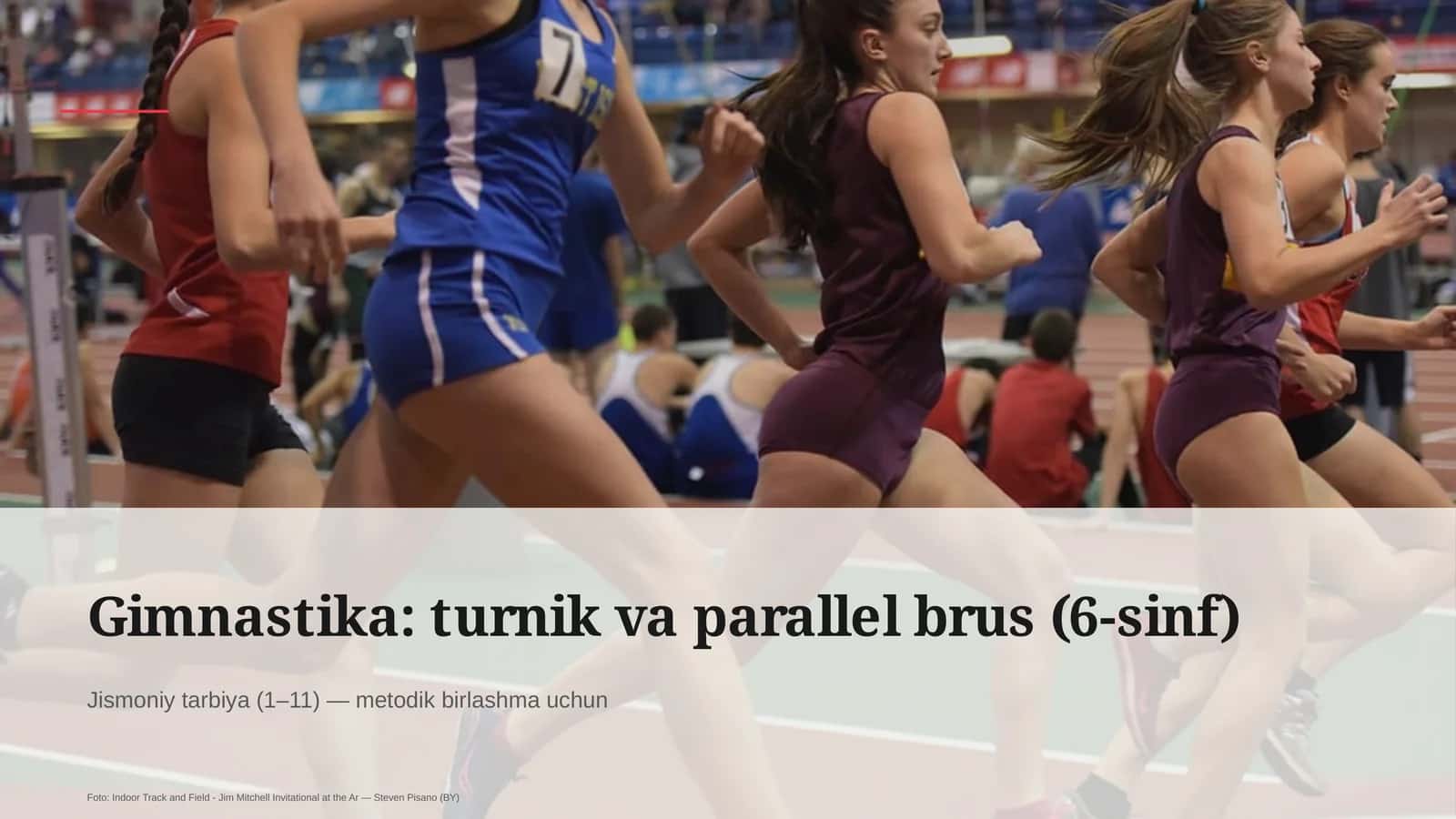 Gimnastika: turnik va parallel brus (6-sinf) 1