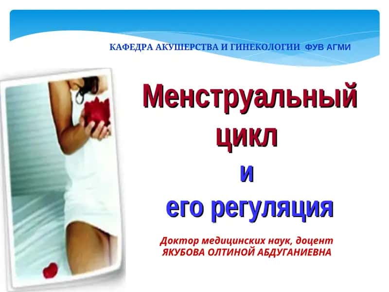 Менструальный цикл 1