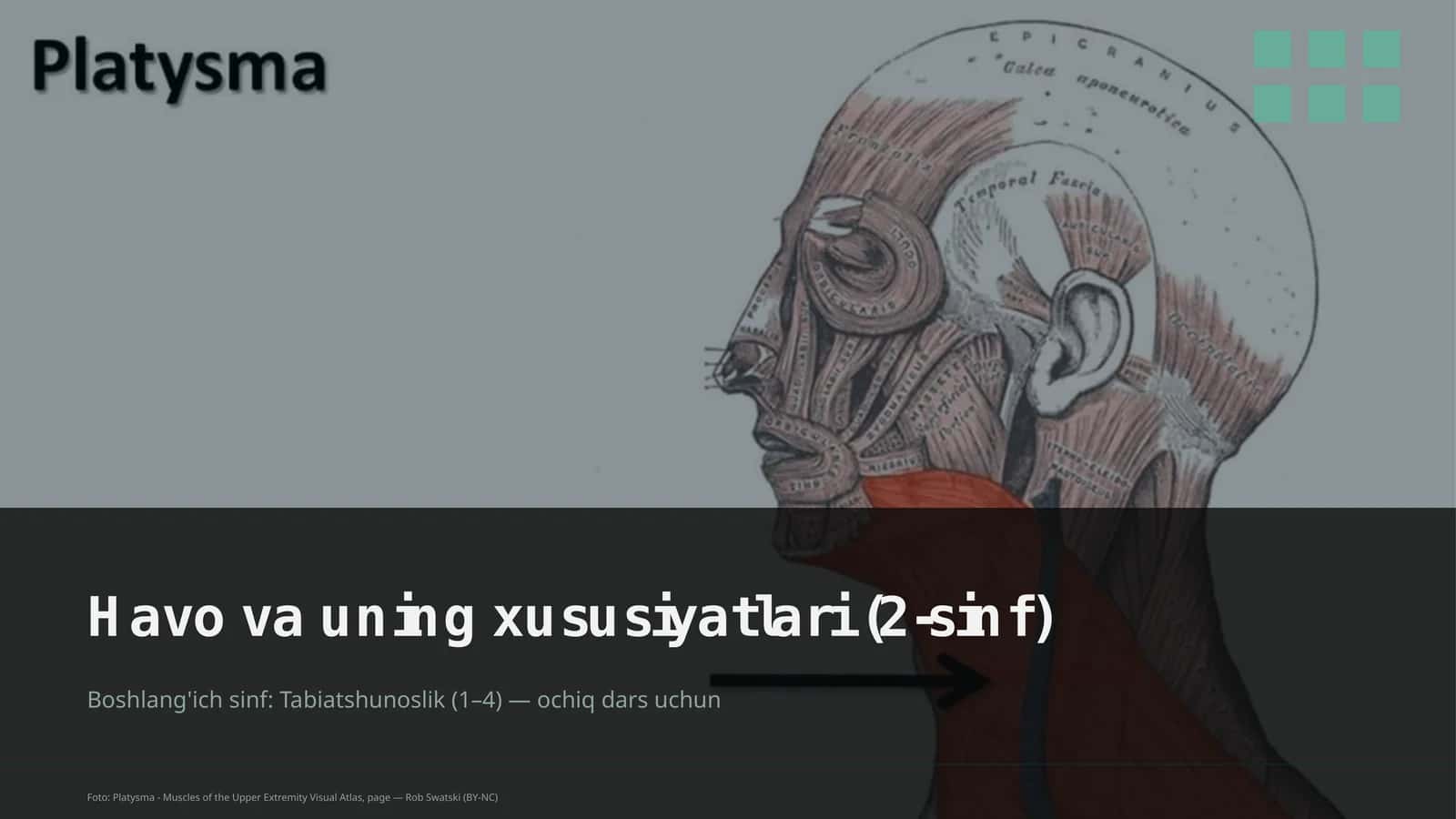 Havo va uning xususiyatlari (2-sinf) 1
