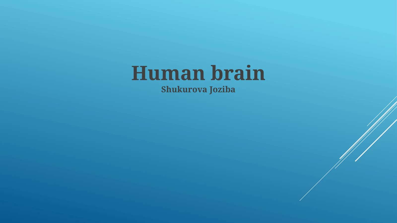 Human brain 1