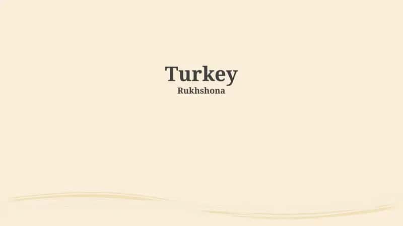 Turkey 1