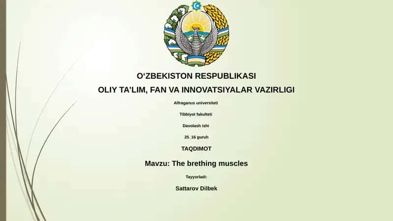 The brething muscles 1