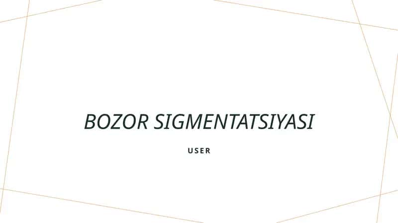 Bozor segmentatsiyasi 1