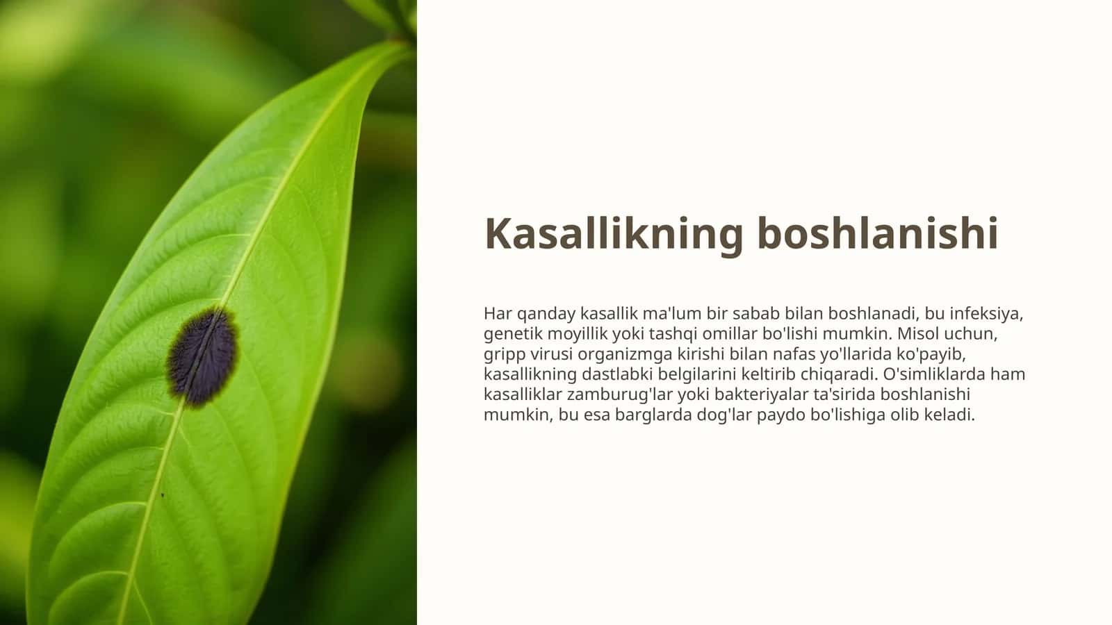 Kasallikning boshlanishi 1