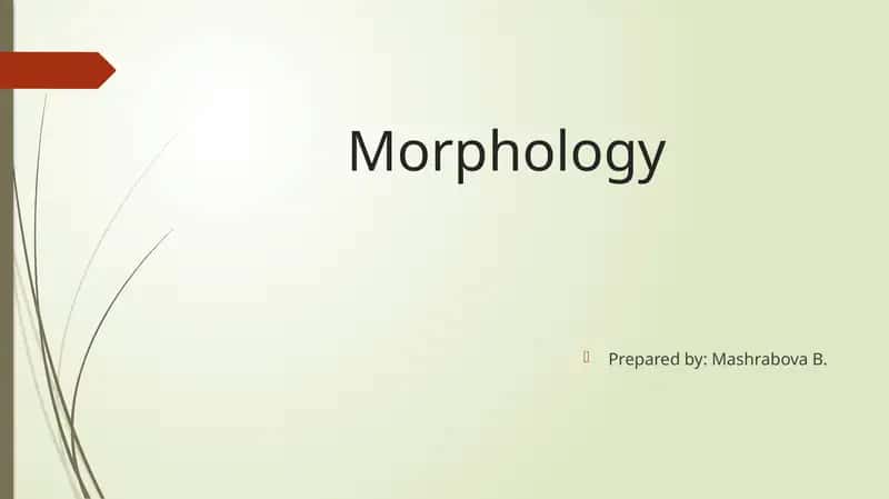 Morfologiya 1