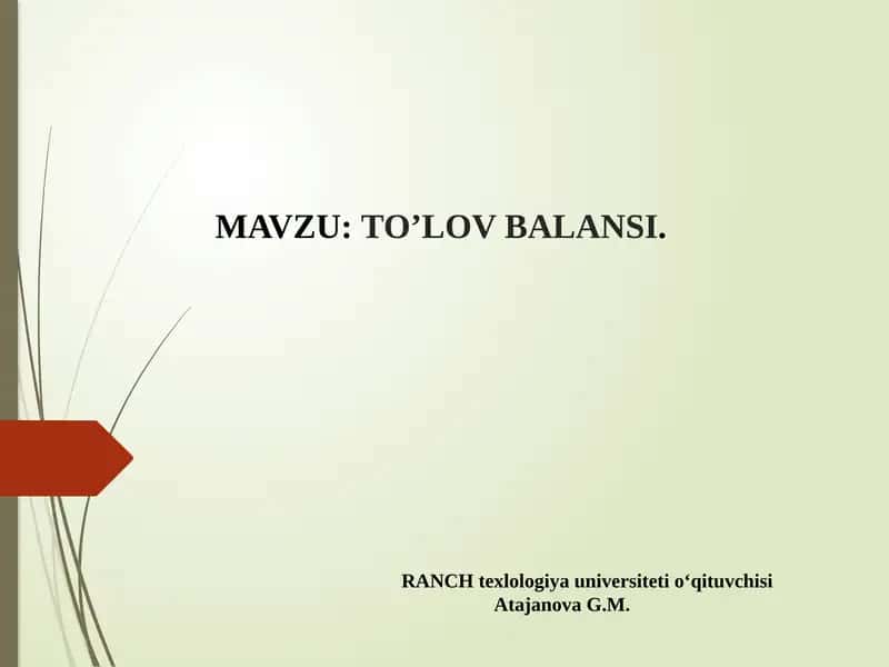 TO’LOV BALANSI 1