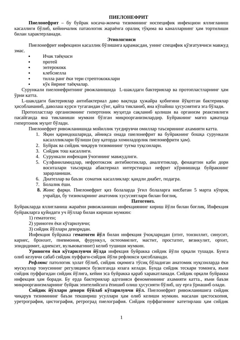 Пиелонефрит 1