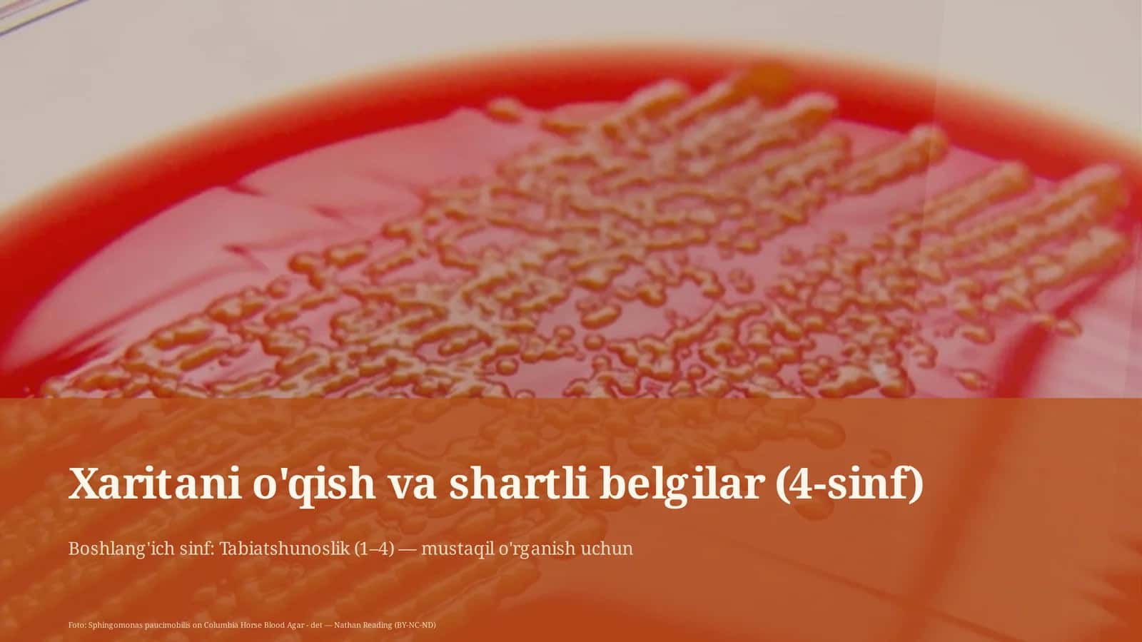Xaritani o'qish va shartli belgilar (4-sinf) 1