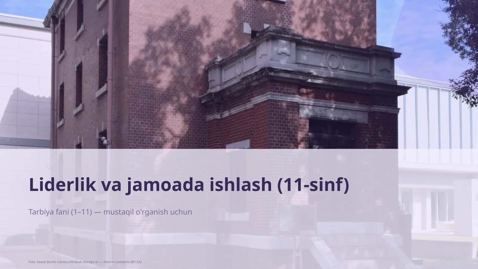 Liderlik va jamoada ishlash (11-sinf) 1