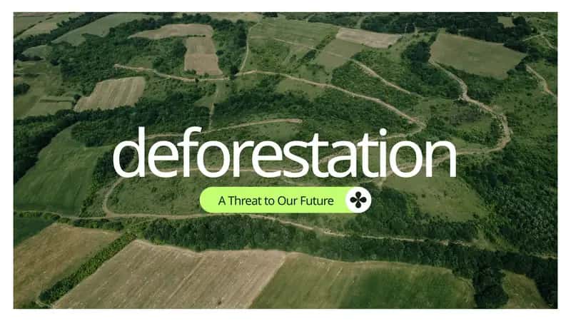 Deforestation: A Threat to Our Future 1