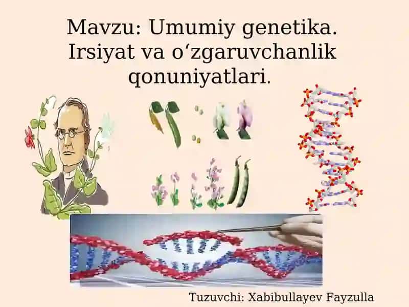 Umumiy genetika.Irsiyat vao‘zgaruvchanlik qonuniyatlari