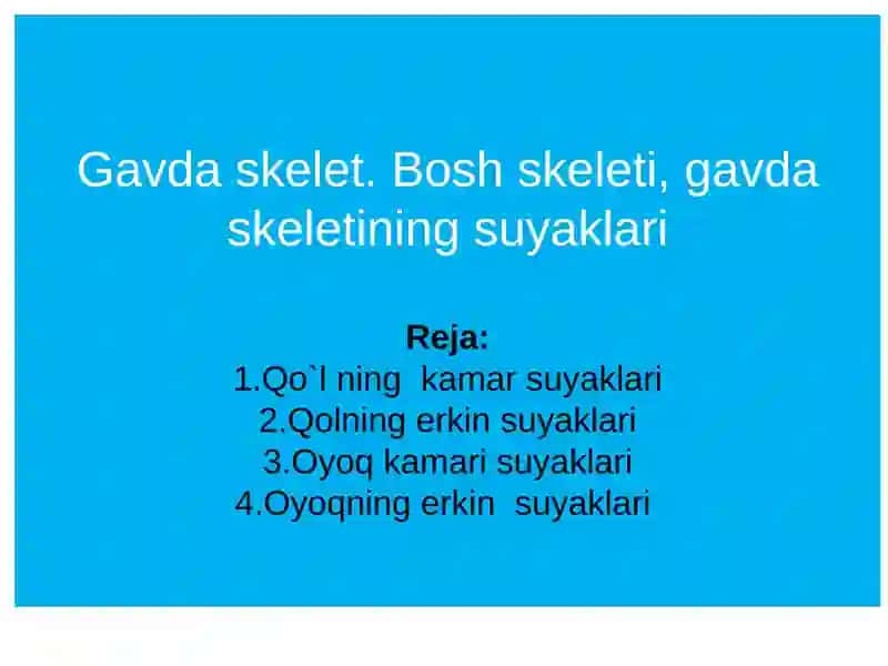 Gavda skelet. Bosh skeleti, gavda skeletining suyaklari