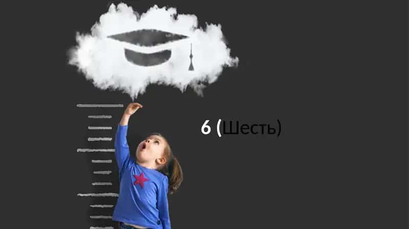 Шесть (6) 1
