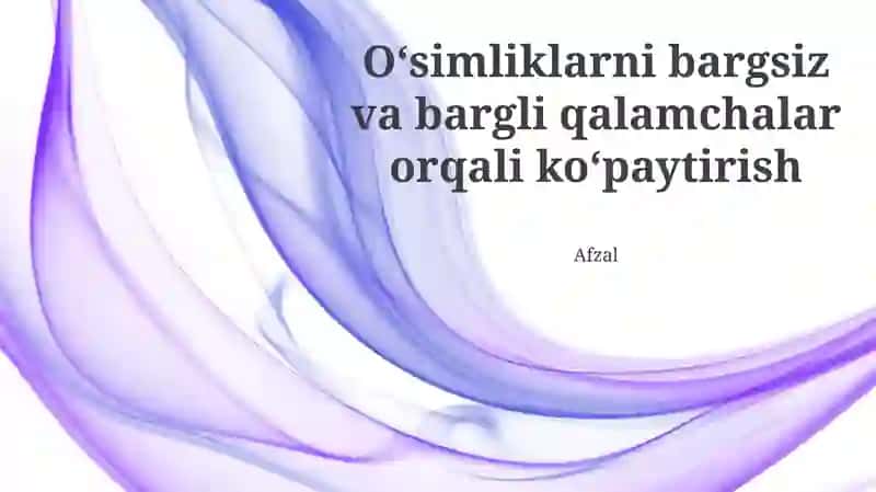 Bargsiz qalamchalar tayyorlash