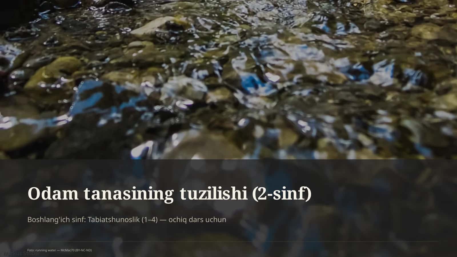 Odam tanasining tuzilishi (2-sinf) 1