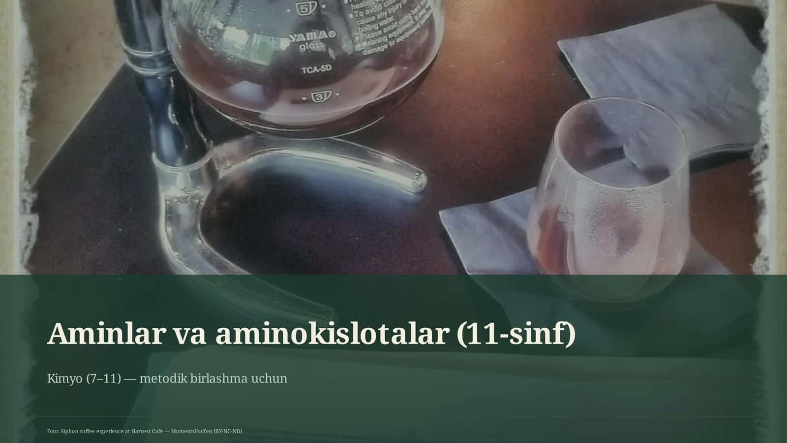 Aminlar va aminokislotalar (11-sinf) 1