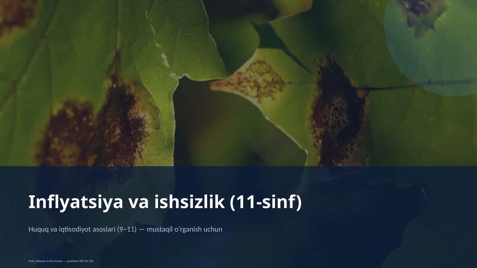 Inflyatsiya va ishsizlik (11-sinf) 1