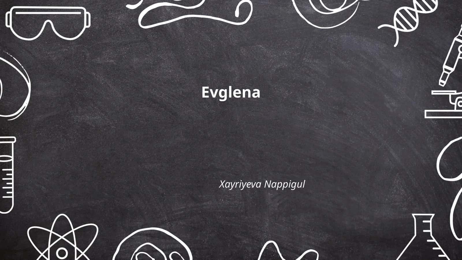 Euglena 1
