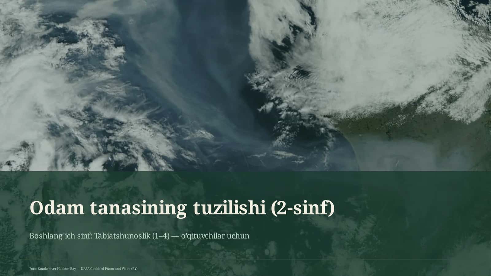 Odam tanasining tuzilishi (2-sinf) 1